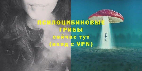 гидра Гусиноозёрск