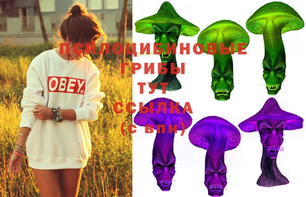 гидра Гусиноозёрск