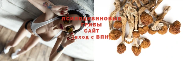 гидра Гусиноозёрск
