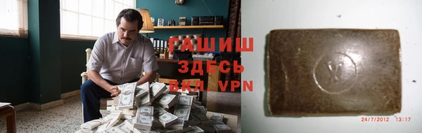 гидра Гусиноозёрск