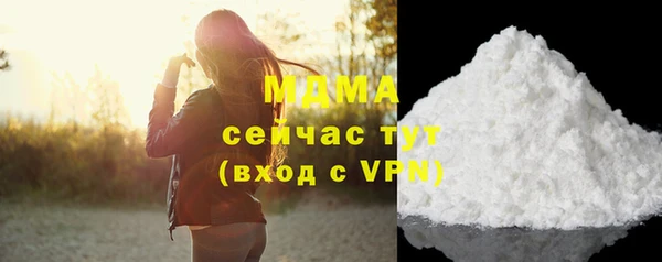 гидра Гусиноозёрск