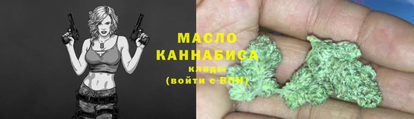 гидра Гусиноозёрск
