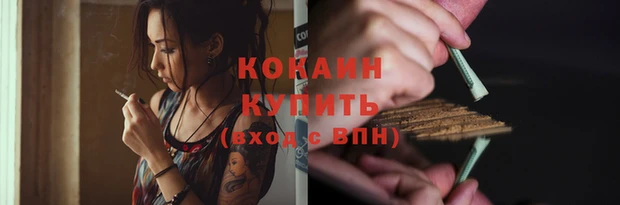 гидра Гусиноозёрск