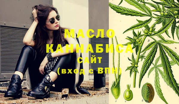 гидра Гусиноозёрск